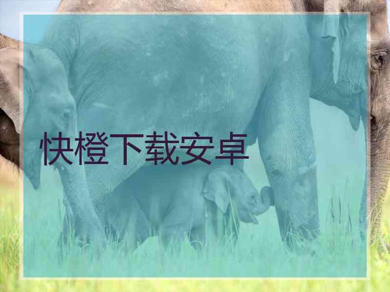 快橙下载安卓