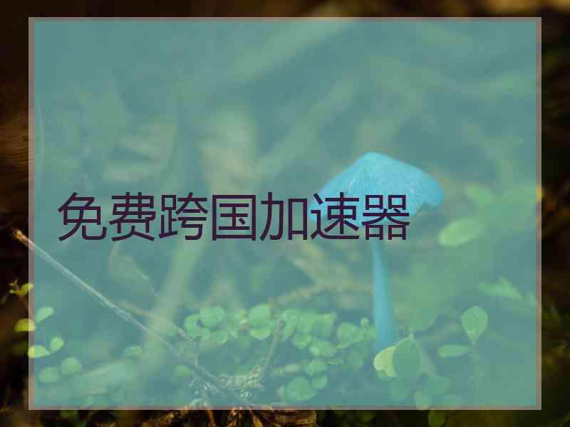 免费跨国加速器