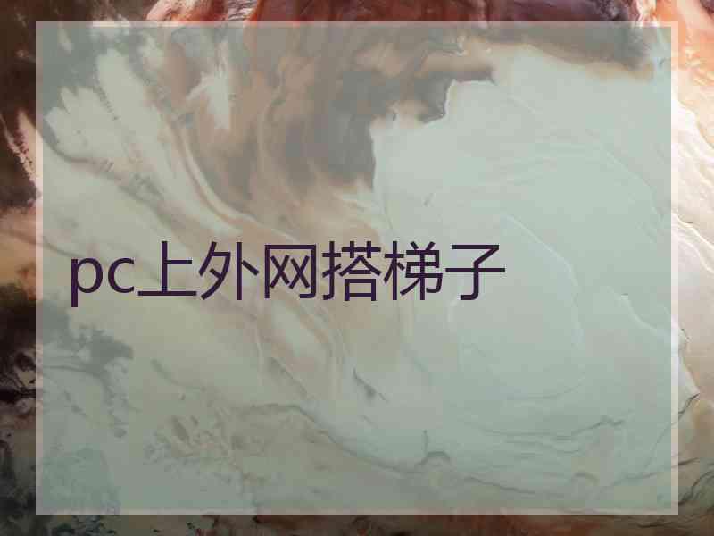 pc上外网搭梯子