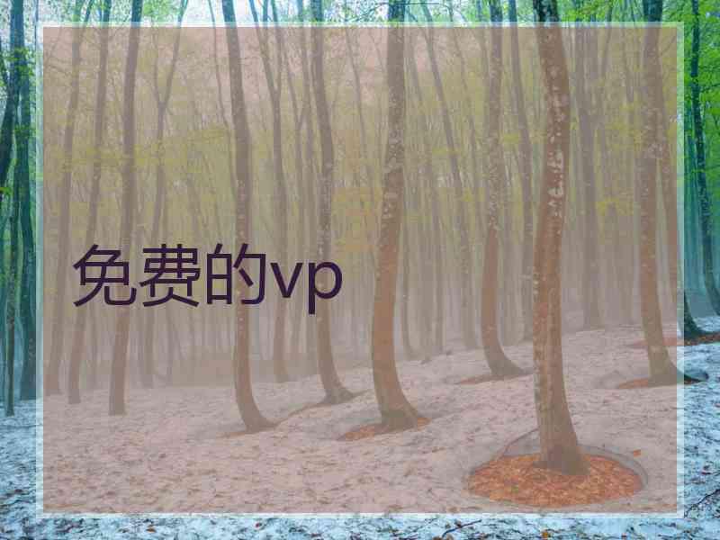 免费的vp