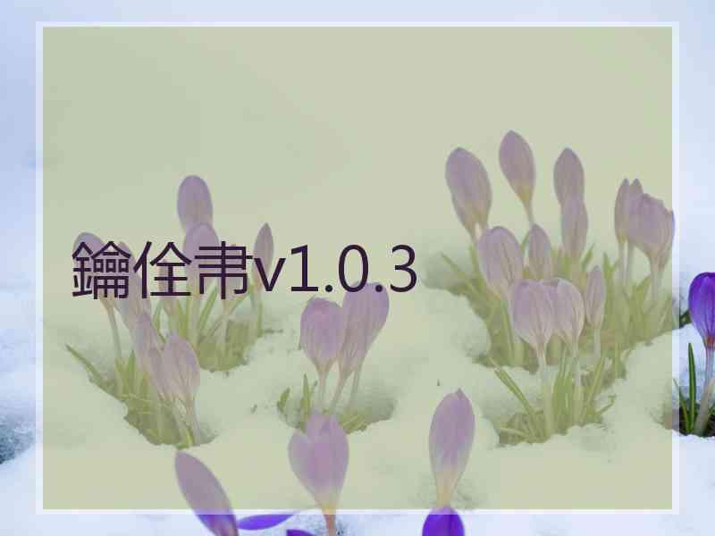 鑰佺帇v1.0.3