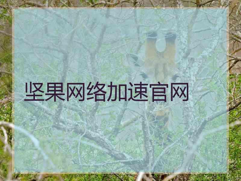 坚果网络加速官网