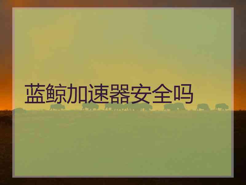 蓝鲸加速器安全吗