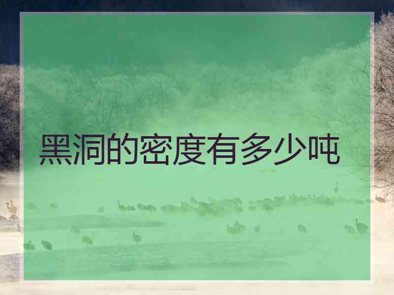 黑洞的密度有多少吨