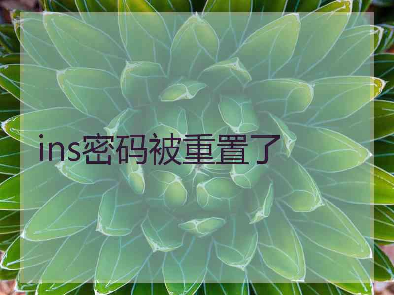 ins密码被重置了