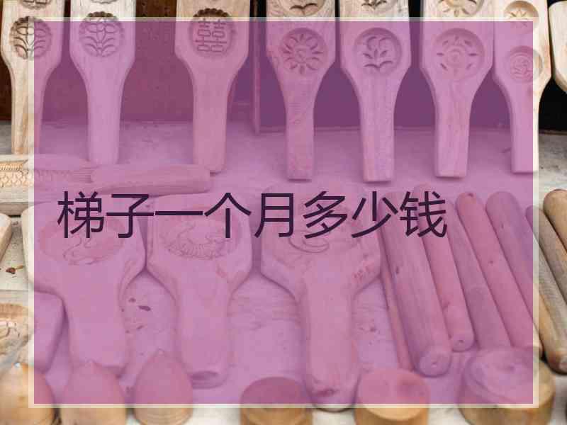 梯子一个月多少钱