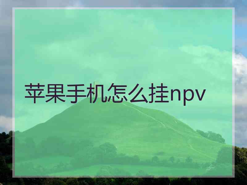 苹果手机怎么挂npv