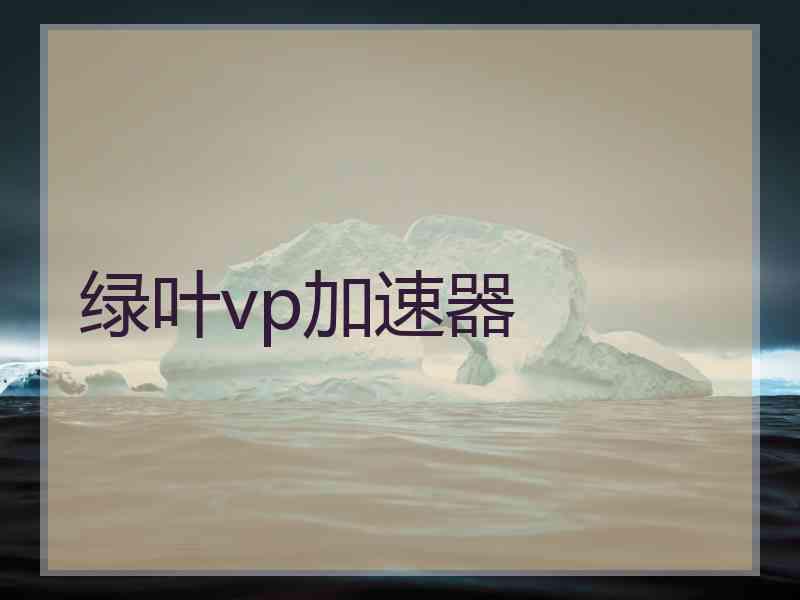 绿叶vp加速器