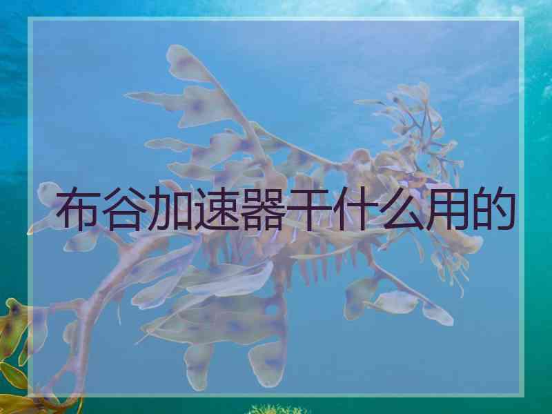 布谷加速器干什么用的