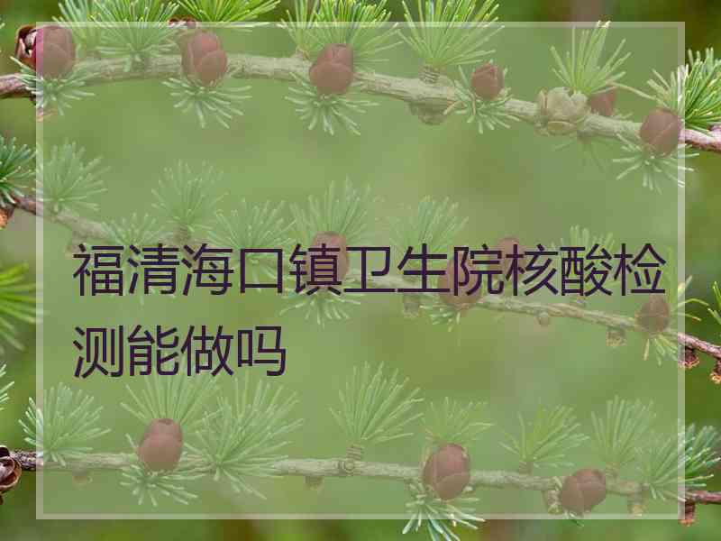 福清海口镇卫生院核酸检测能做吗