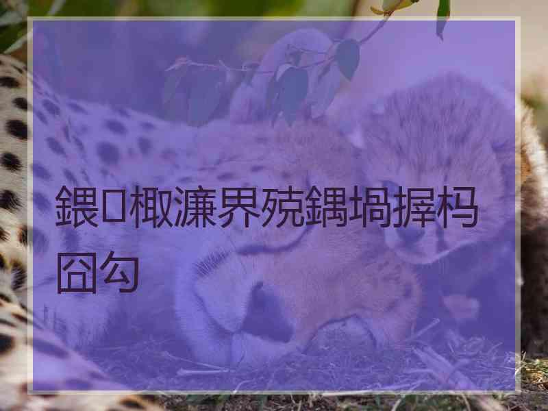 鍡棷濂界殑鍝堝搱杩囧勾