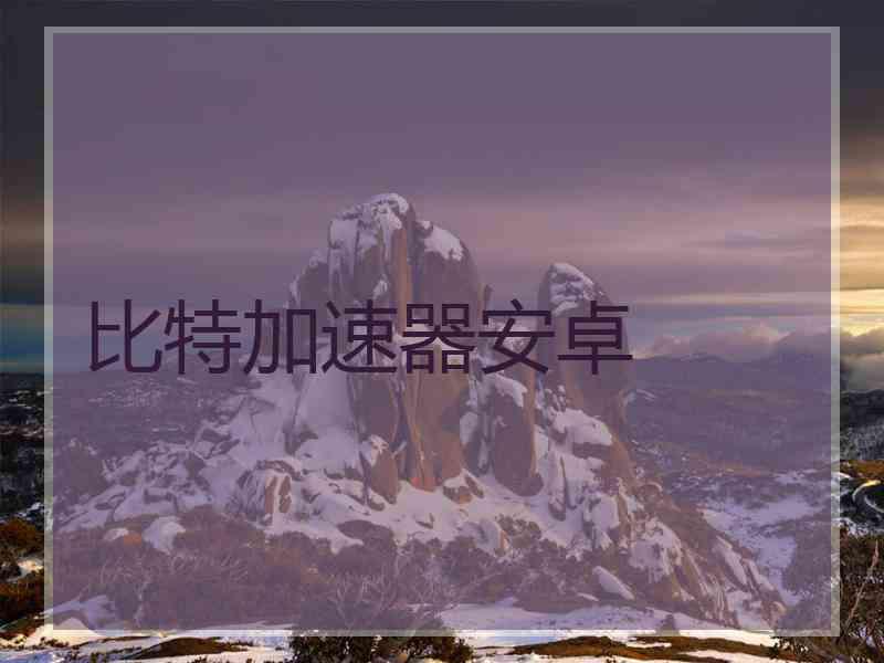 比特加速器安卓