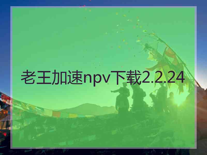 老王加速npv下载2.2.24