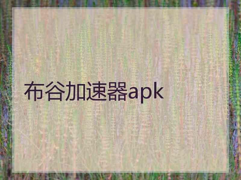 布谷加速器apk