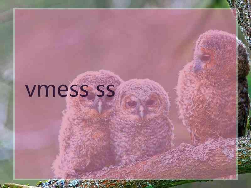 vmess ss