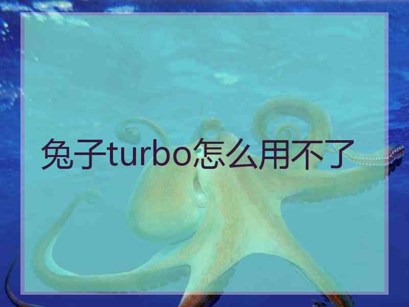 兔子turbo怎么用不了