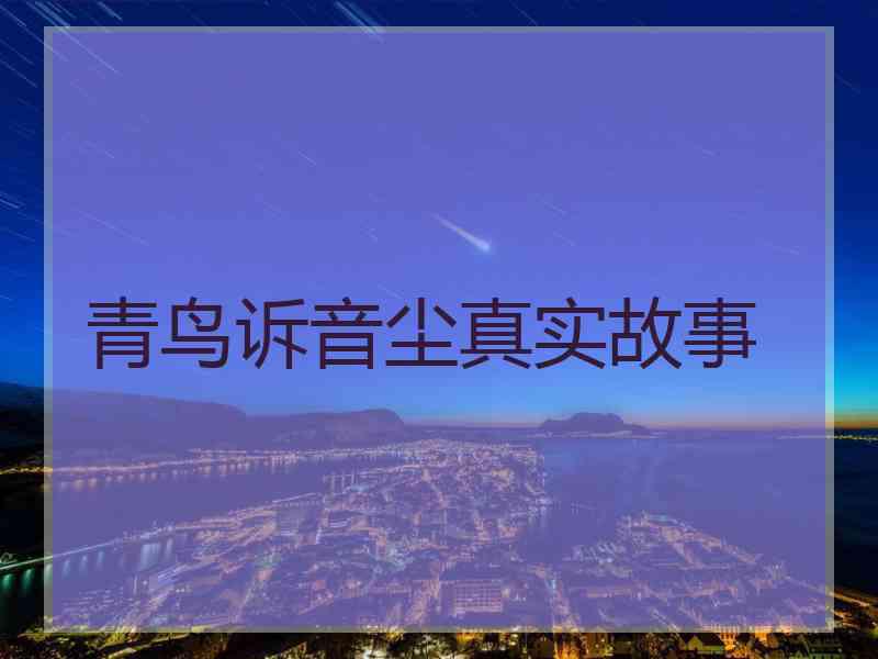 青鸟诉音尘真实故事