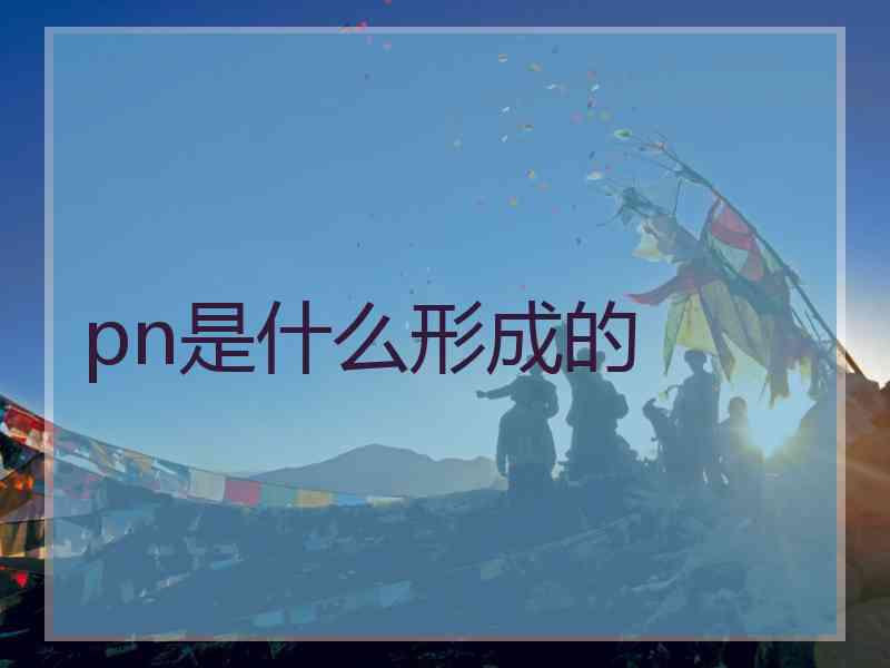 pn是什么形成的
