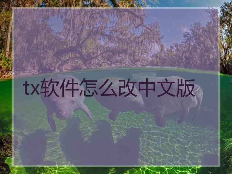 tx软件怎么改中文版