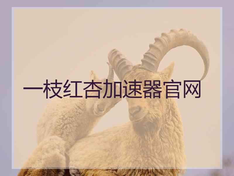 一枝红杏加速器官网