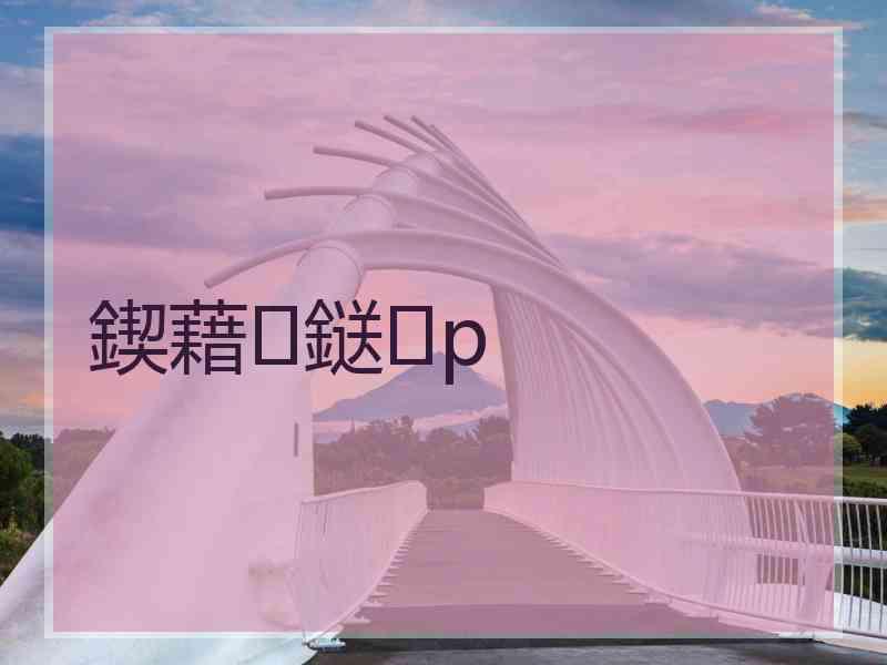 鍥藉鎹p