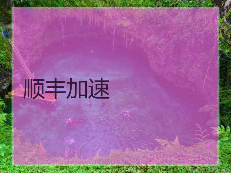 顺丰加速
