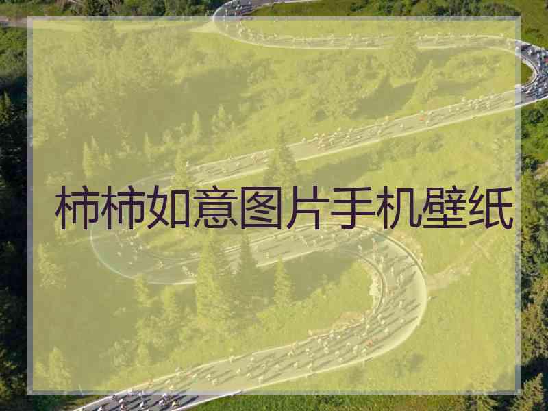 柿柿如意图片手机壁纸