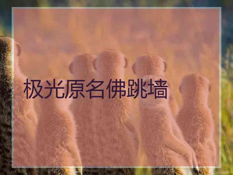 极光原名佛跳墙