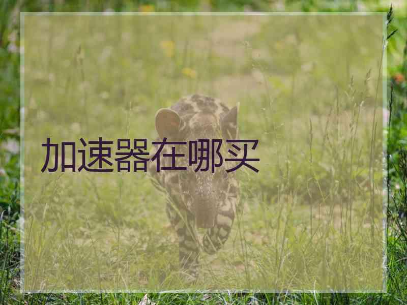 加速器在哪买