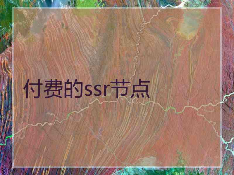 付费的ssr节点