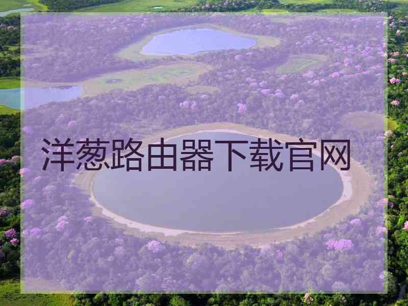 洋葱路由器下载官网