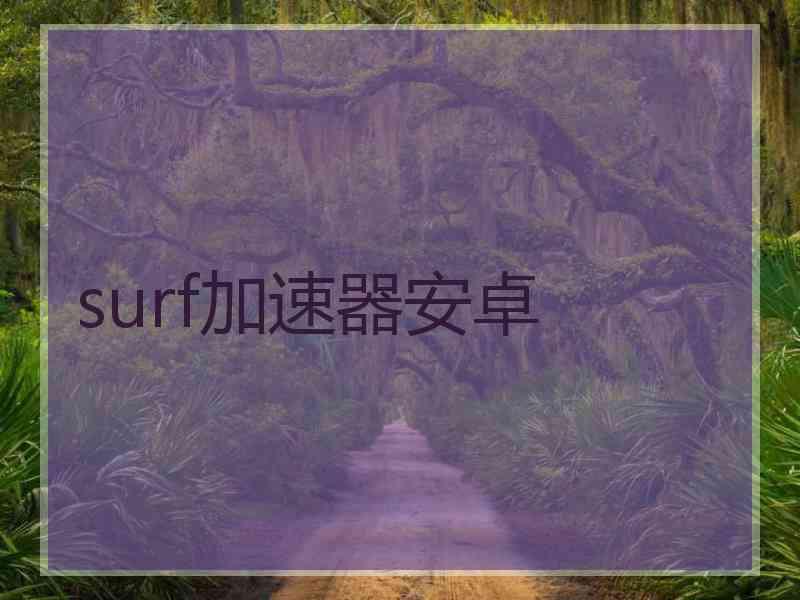 surf加速器安卓