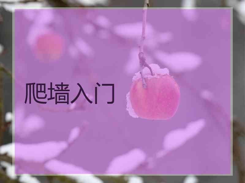 爬墙入门