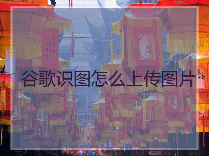 谷歌识图怎么上传图片