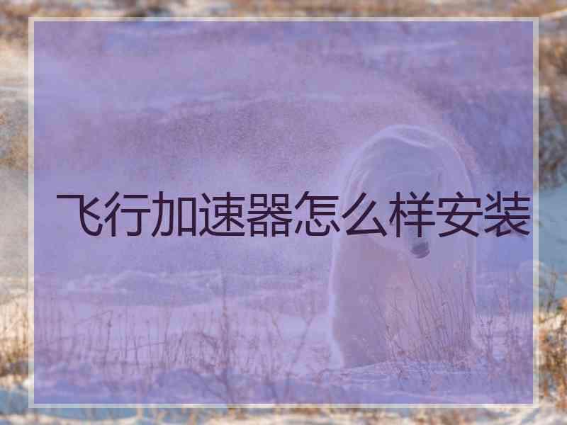 飞行加速器怎么样安装