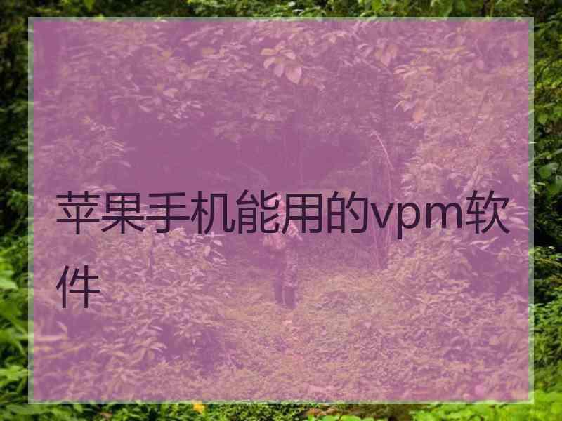 苹果手机能用的vpm软件