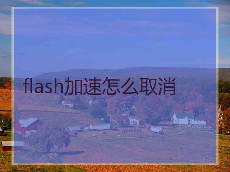flash加速怎么取消