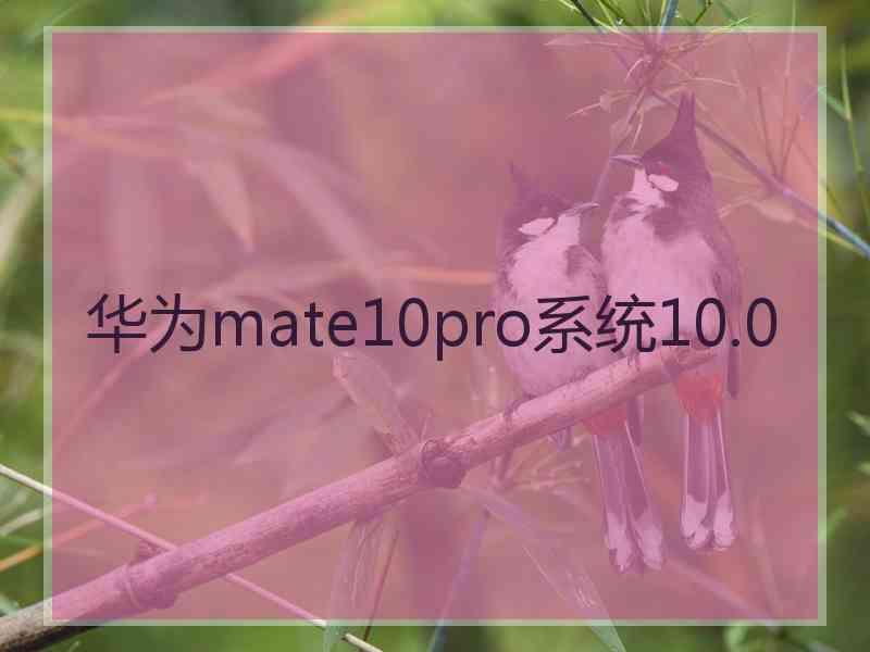华为mate10pro系统10.0