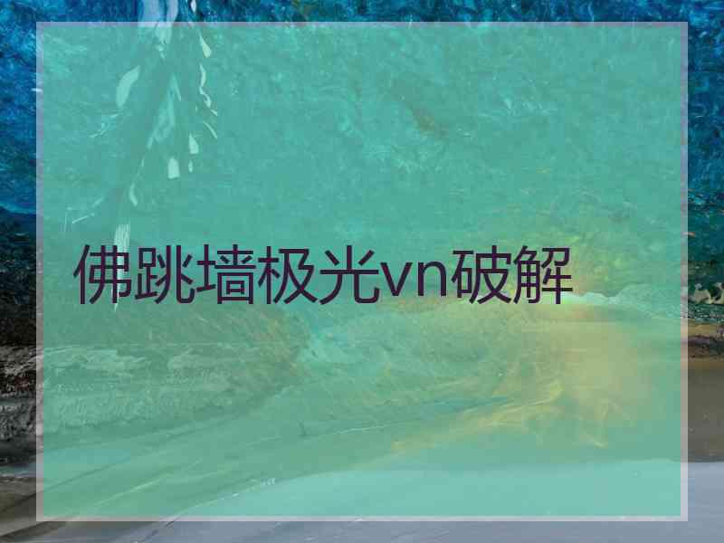佛跳墙极光vn破解
