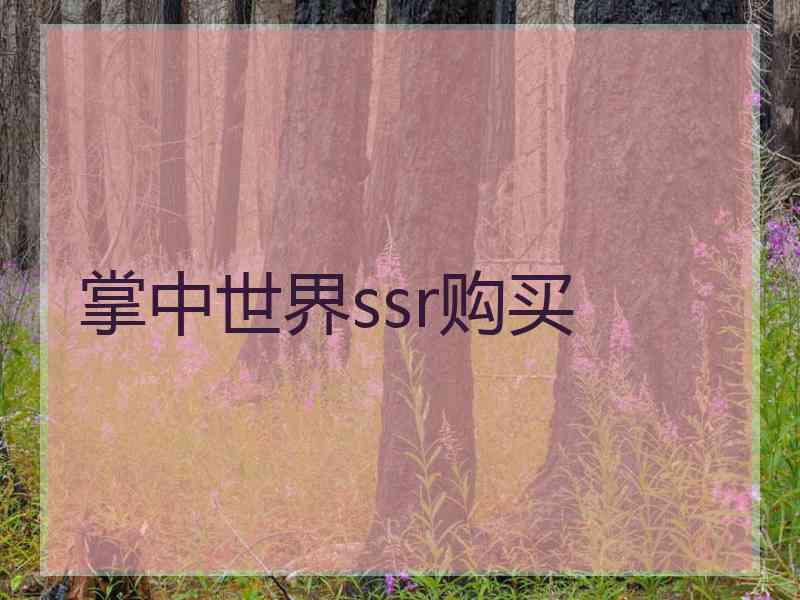 掌中世界ssr购买