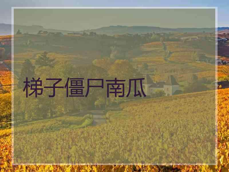 梯子僵尸南瓜