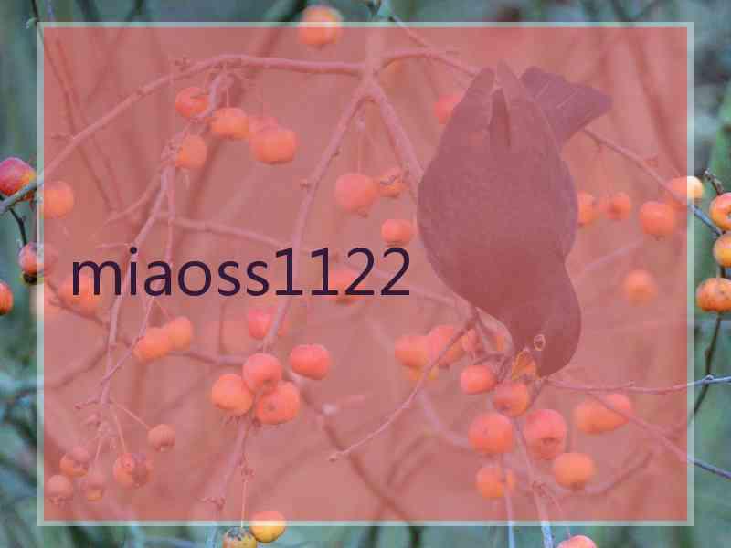 miaoss1122