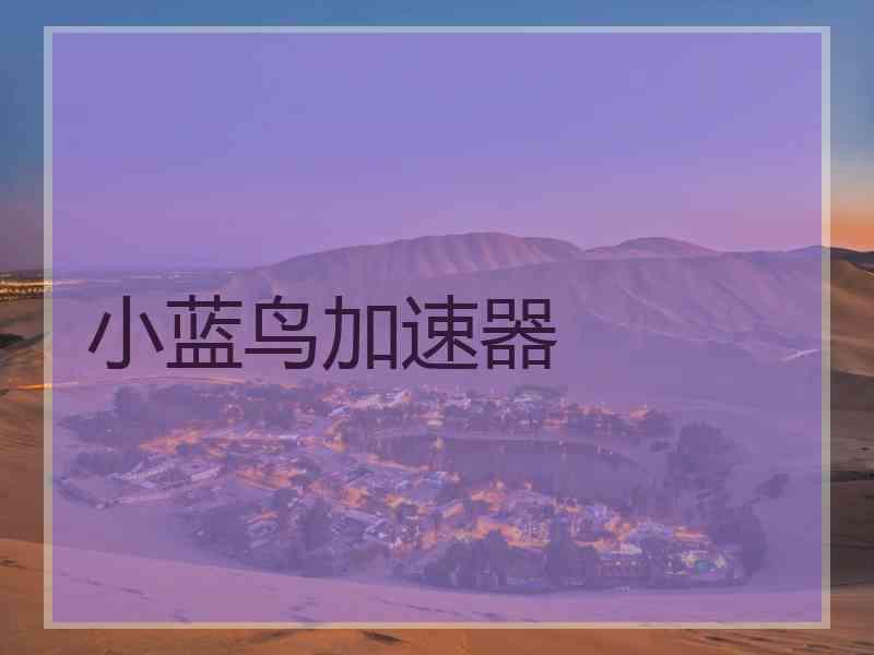 小蓝鸟加速器
