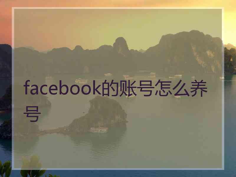 facebook的账号怎么养号