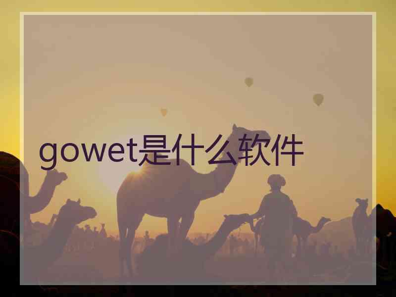 gowet是什么软件