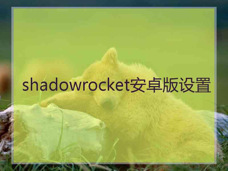 shadowrocket安卓版设置