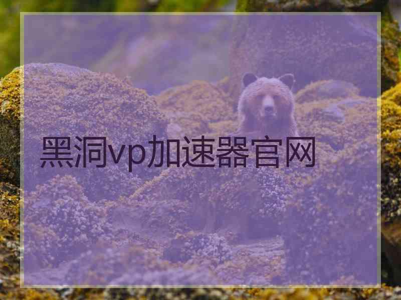 黑洞vp加速器官网