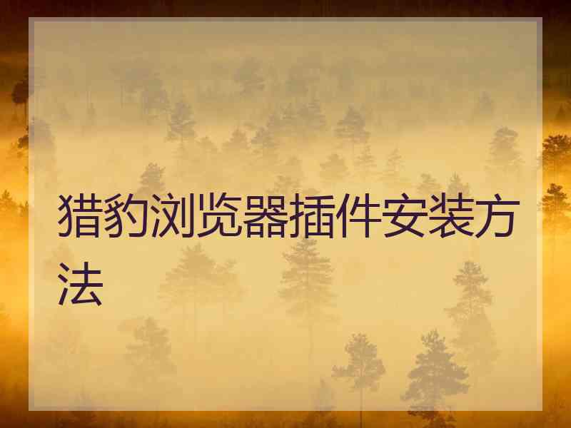 猎豹浏览器插件安装方法