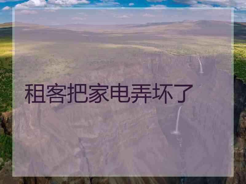 租客把家电弄坏了