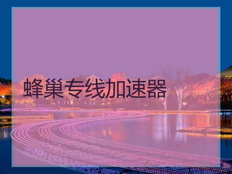 蜂巢专线加速器